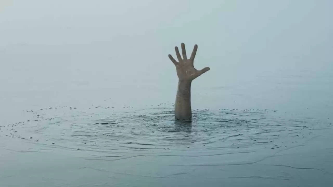 ब्राजील में नदी में गिरने से बच्ची की मौत, पिरान्हा हमले की आशंका