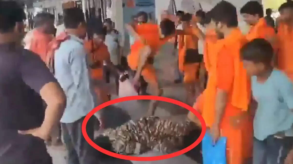 मिर्जापुर में कांवड़ियों द्वारा CRPF जवान की पिटाई का वीडियो वायरल
