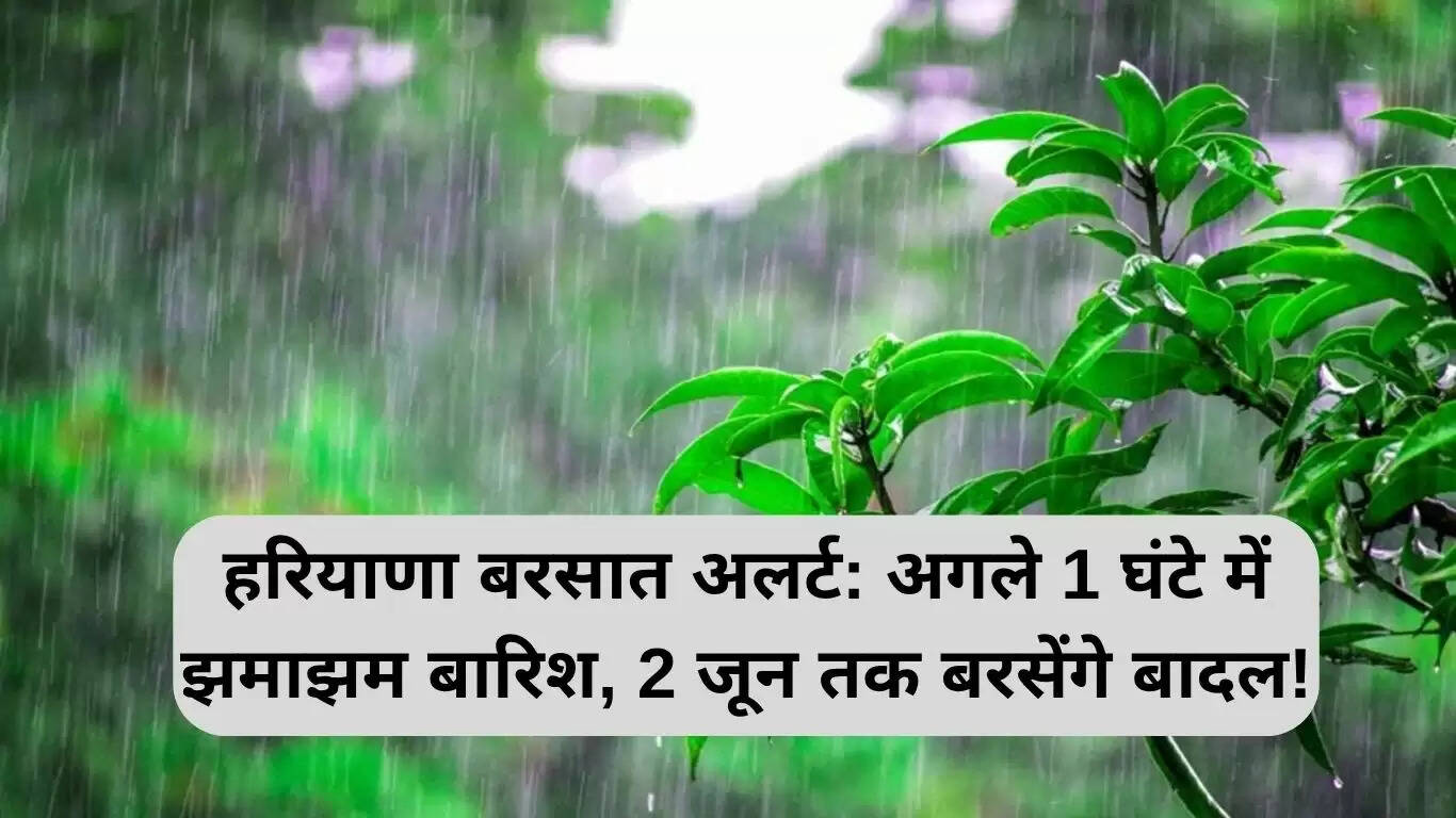 हरियाणा में बारिश का अलर्ट: अगले घंटे में भारी बारिश की संभावना