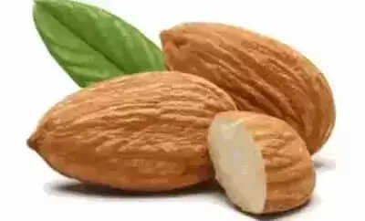 बदाम के सेवन के अद्भुत फायदे: जानें कैसे यह आपके स्वास्थ्य को बेहतर बनाता है