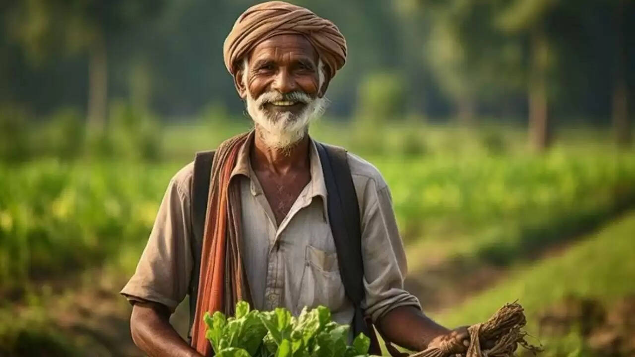 हरियाणा में किसानों के लिए नया भूमि कानून: बंटवारे की प्रक्रिया होगी सरल