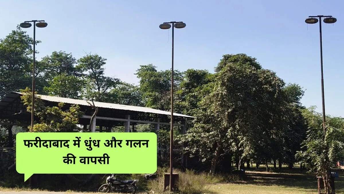 हरियाणा में सर्दी का बढ़ता प्रभाव: तापमान में गिरावट