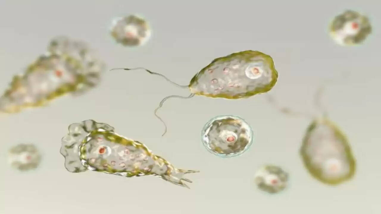 केरल में Brain Eating Amoeba का खतरा: जानें इसके लक्षण और बचाव के उपाय