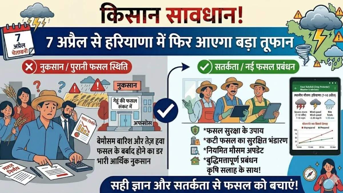 हरियाणा में मौसम का मिजाज बिगड़ा, किसानों पर पड़ी कुदरत की मार