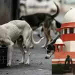 सुप्रीम कोर्ट की सुनवाई में कुत्तों के व्यवहार पर चर्चा