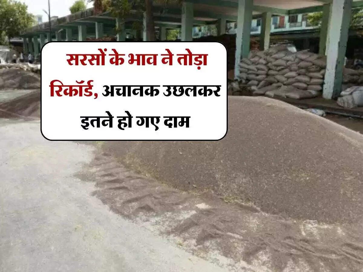 सरसों के भाव में ऐतिहासिक वृद्धि, किसानों को मिल रहा अधिक लाभ