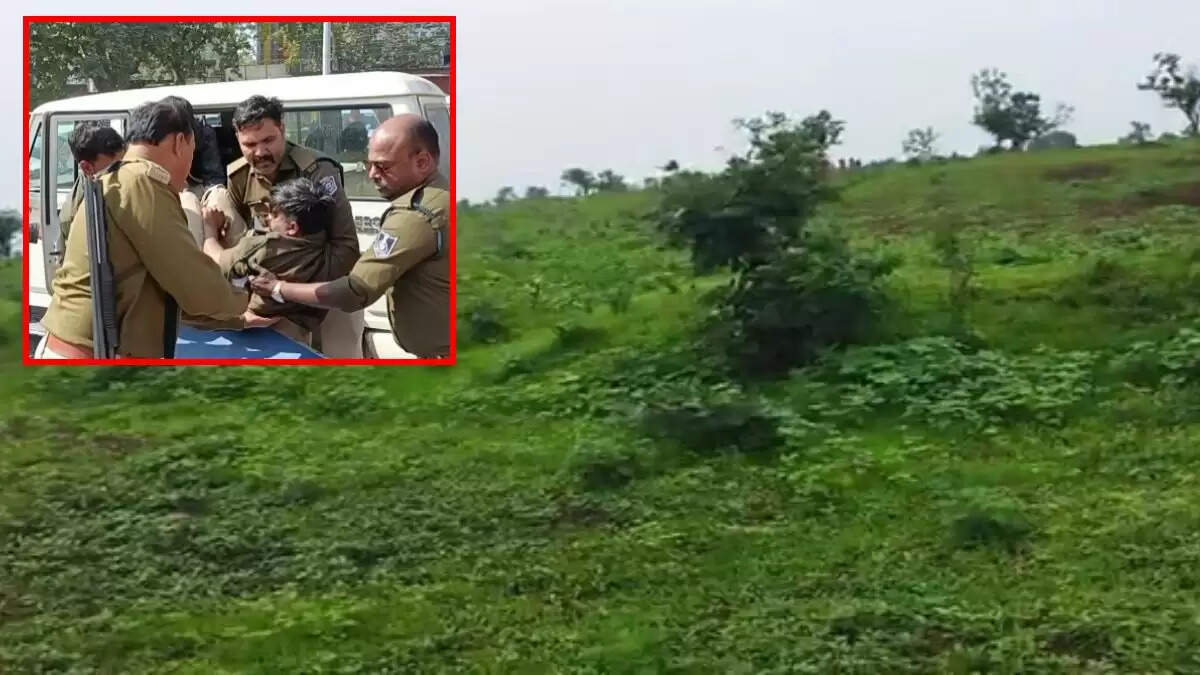 खंडवा में वन विभाग की टीम पर अतिक्रमणकारियों का हमला, पौधों को किया नष्ट