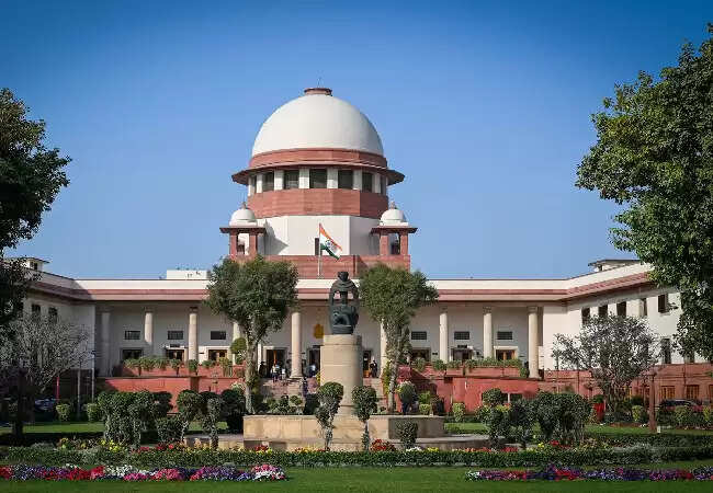 सुप्रीम कोर्ट ने आवारा कुत्तों के मामलों पर सुनवाई की तारीख तय की