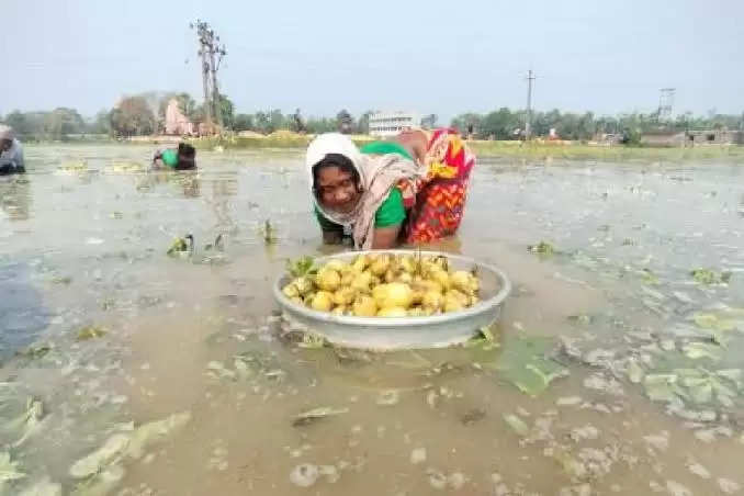 बांध टूटने से खानाकुल के किसानों की बढ़ी मुश्किल