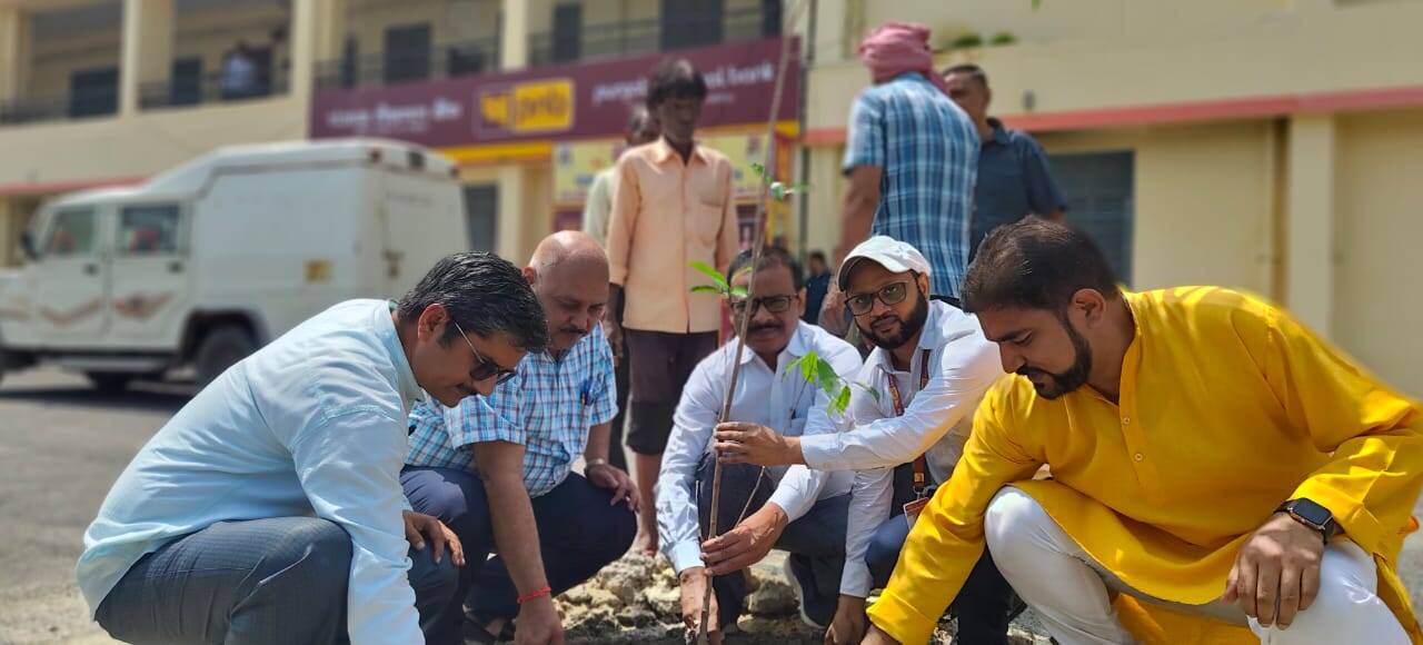 पंजाब नेशनल बैंक की विश्वविद्यालय शाखा की ओर से लगाए गए पौध