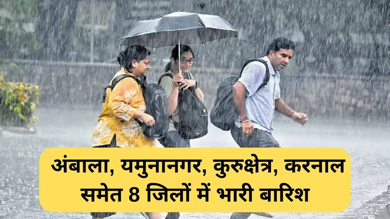 हरियाणा में मानसून का अलर्ट: 8 जिलों में भारी बारिश की संभावना
