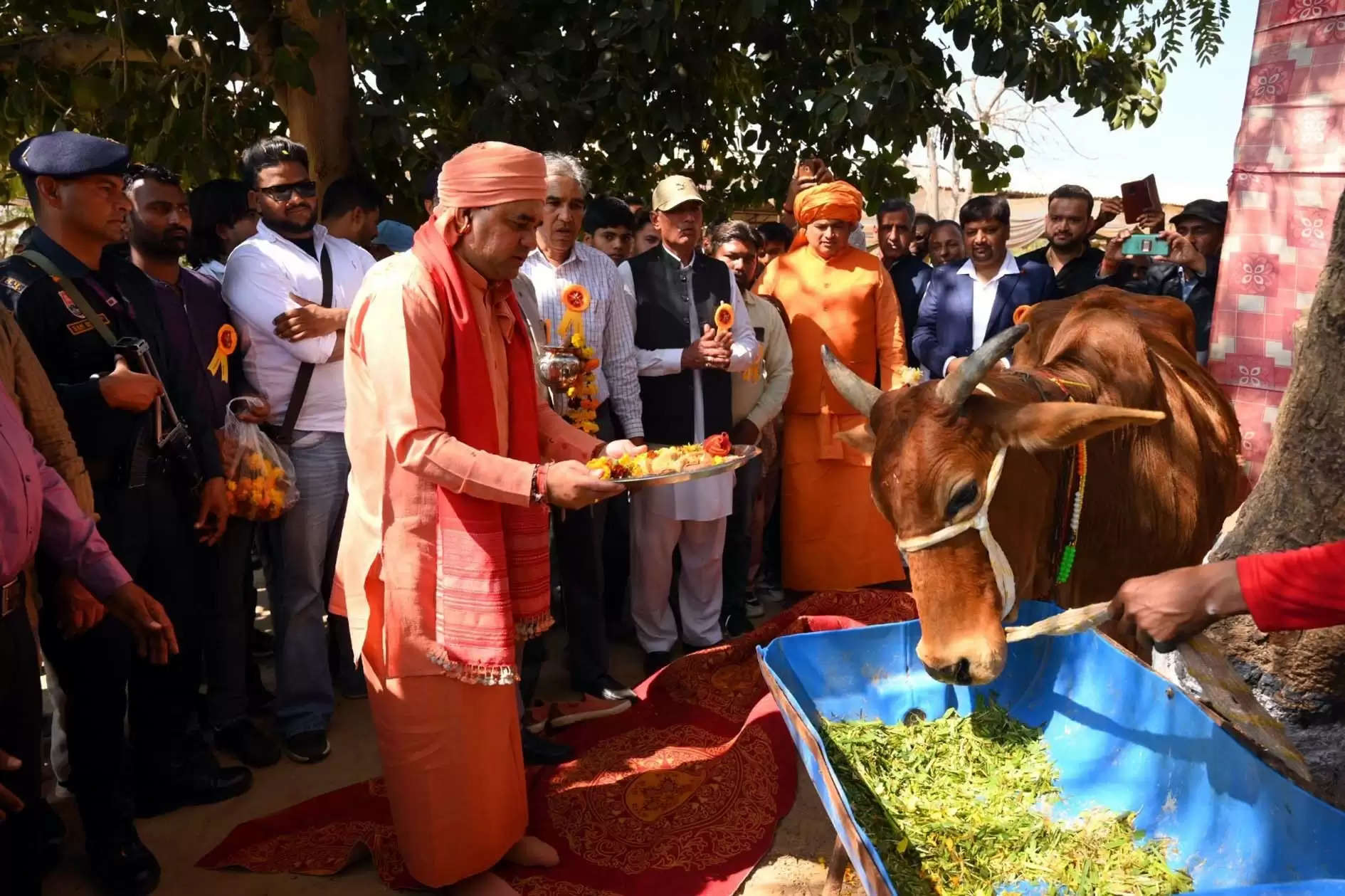 गाय की सेवा जरूर करें, भगवान श्रीकृष्ण स्वयं भी करते थे गाय की सेवा: महंत बालकनाथ