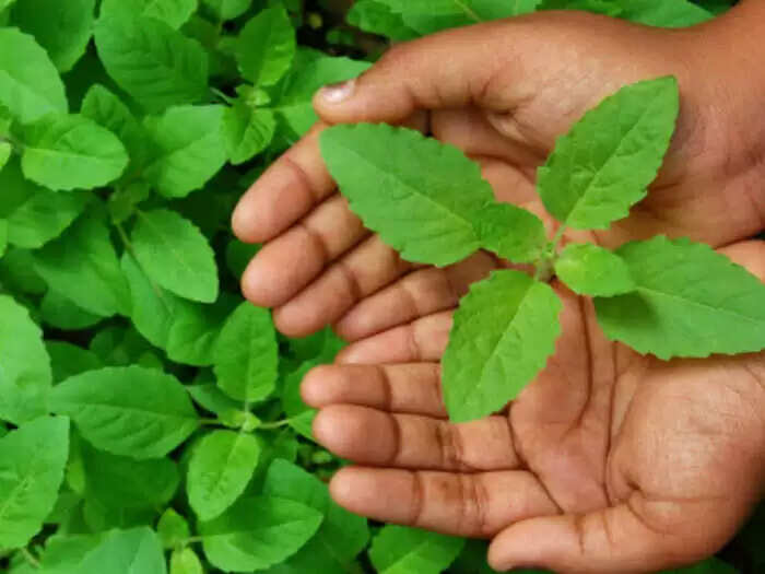 त्वचा की देखभाल के लिए प्राकृतिक क्लींजर बनाने की विधि