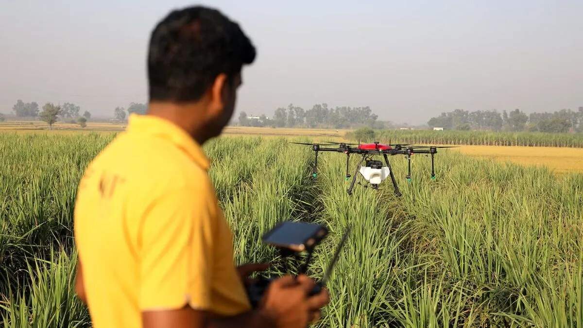 हरियाणा को मिला 'जियोस्पेशियल एक्सीलेंस अवार्ड', डिजिटल कृषि में की गई है बड़ी उपलब्धि