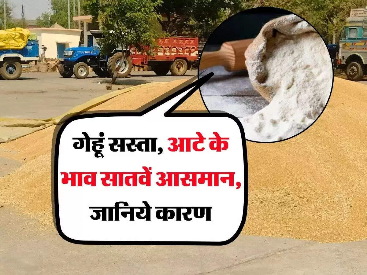 गेहूं और आटे की कीमतों में असमानता: किसानों और उपभोक्ताओं पर प्रभाव