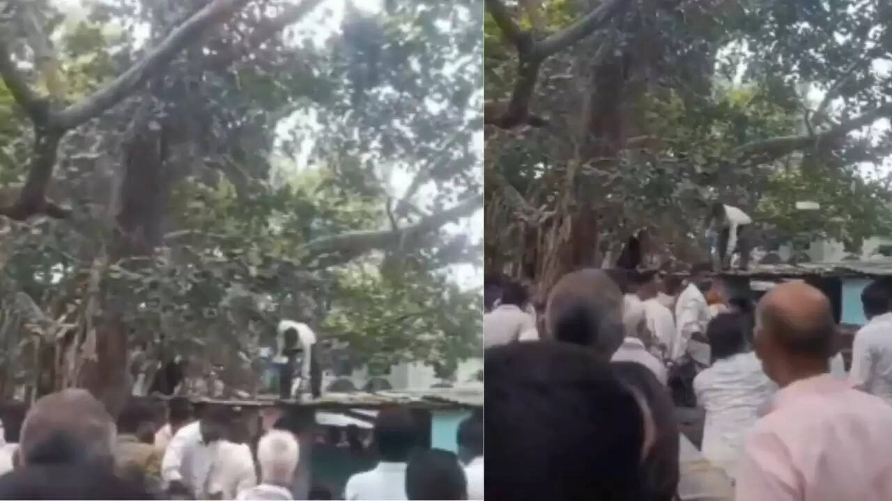 बंदर की करतूत: जब पेड़ से गिरने लगे 500 के नोट, लोगों में मची अफरातफरी