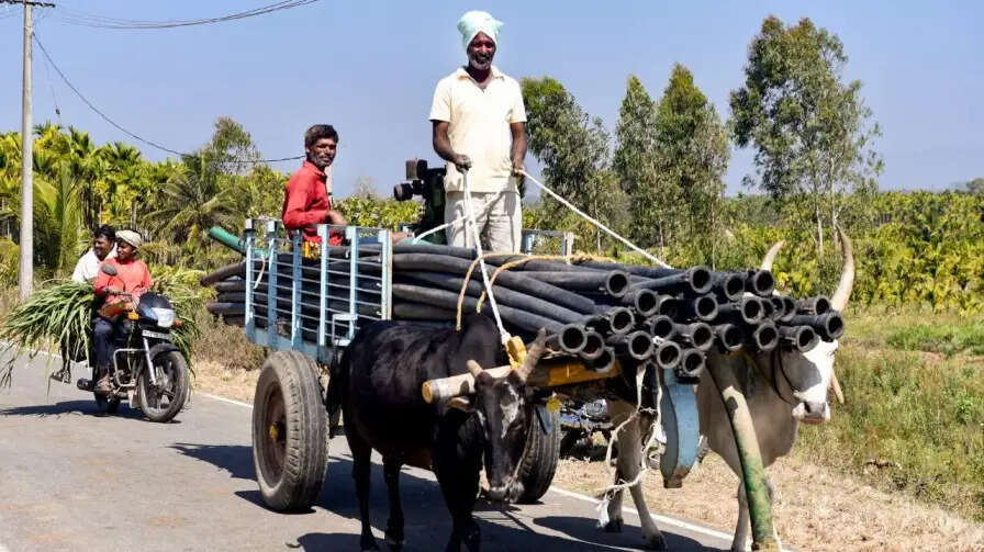 केंद्र सरकार की नई योजना से ग्रामीण रोजगार को मिलेगा बढ़ावा