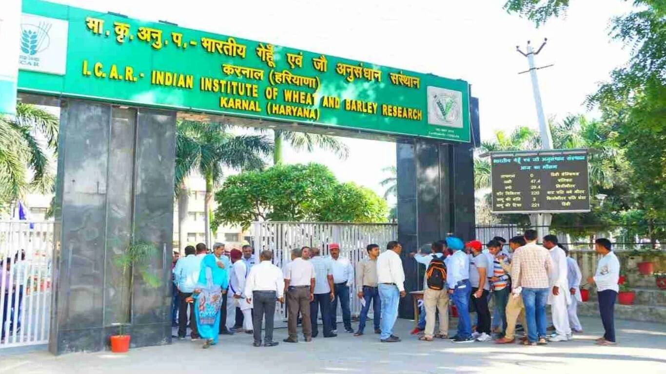 IIWBR करनाल में फील्ड वर्कर के लिए भर्ती 2025: आवेदन प्रक्रिया और महत्वपूर्ण जानकारी