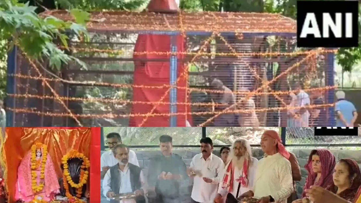 कश्मीर में 40 साल बाद पंडितों का त्योहार, मुस्लिम समुदाय ने किया स्वागत