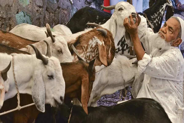 मध्य प्रदेश में बकरीद के लिए वक्फ बोर्ड की नई एडवाइजरी