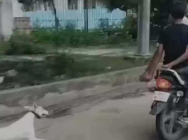 लखनऊ में कुत्ते के प्रति क्रूरता का मामला, पुलिस कर रही जांच