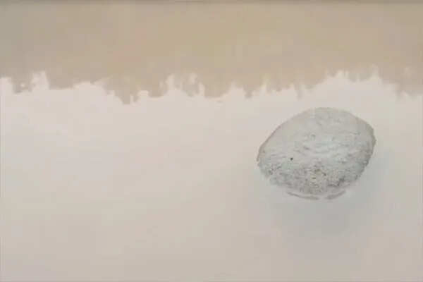 उधमपुर में तवी नदी में तैरता पत्थर: आस्था और विज्ञान का संगम