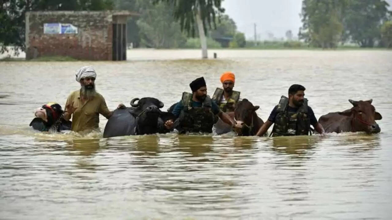 पंजाब में बाढ़: सभी शैक्षणिक संस्थान 7 सितंबर 2025 तक बंद
