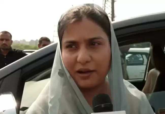 बरेली हिंसा पर सपा सांसदों का दौरा रोका गया, भाजपा सरकार पर आरोप
