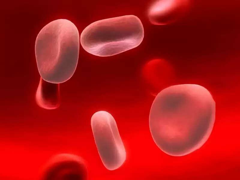 चिलगोजा: दिल और उम्र के लिए फायदेमंद गुण