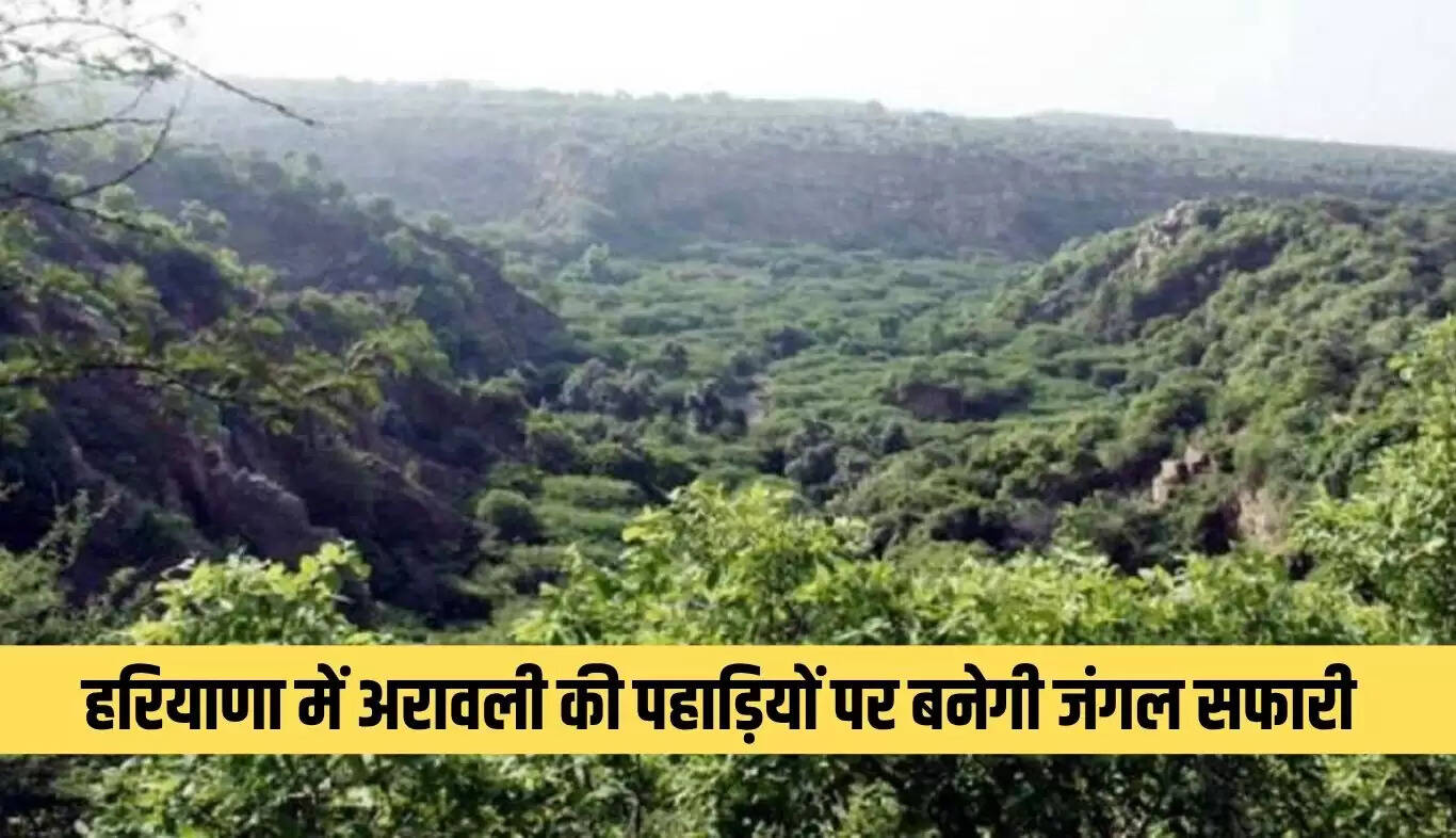 हरियाणा में अरावली पहाड़ियों पर विकसित होगी जंगल सफारी