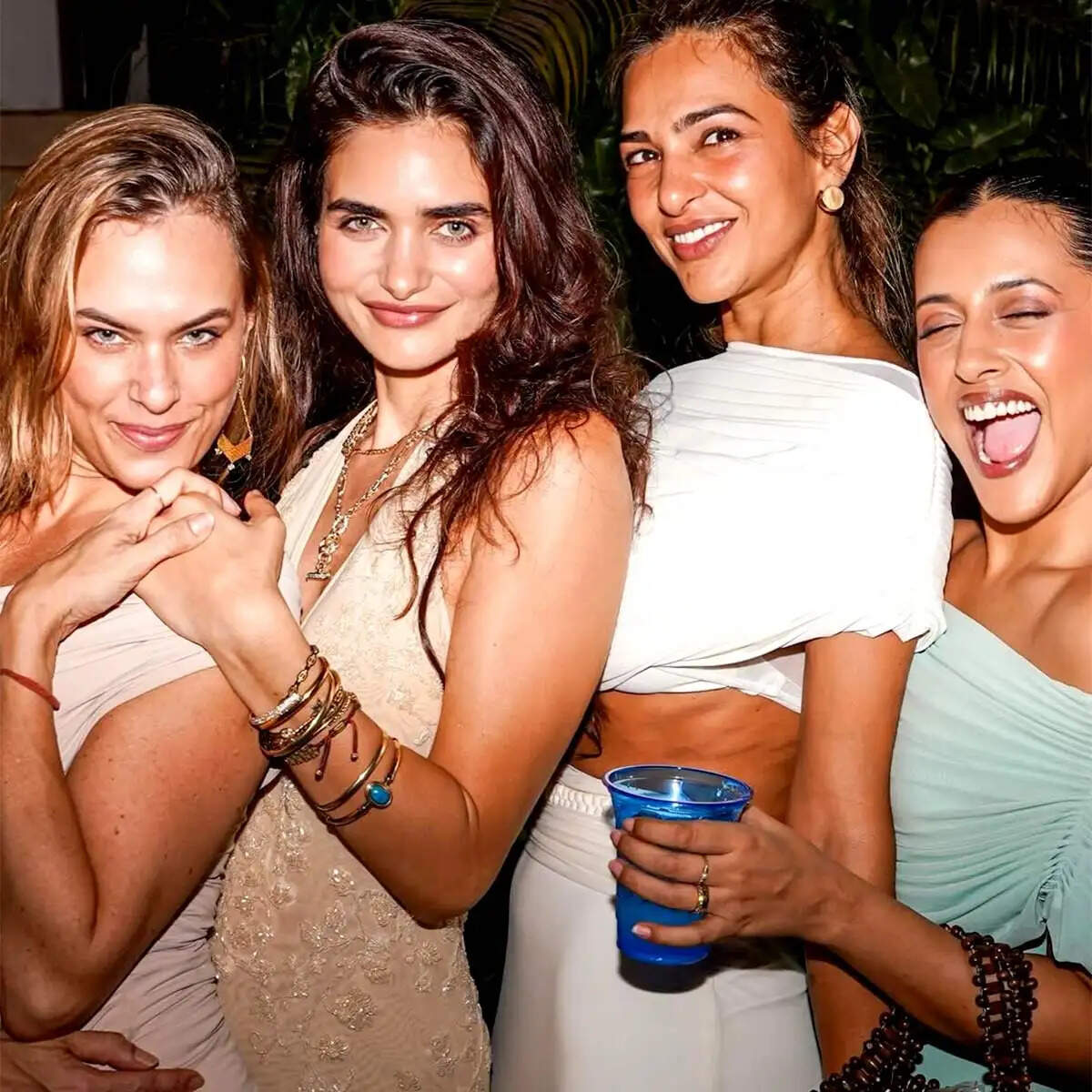 गैब्रिएला डेमेट्रिएड्स का जन्मदिन: अर्जुन रामपाल के साथ रोमांटिक पल