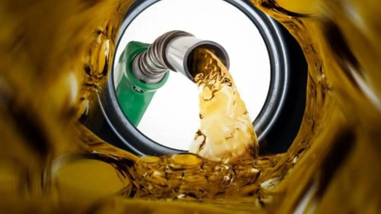 UAE का OPEC से बाहर निकलना: क्या ईंधन की कीमतों में होगी वृद्धि?