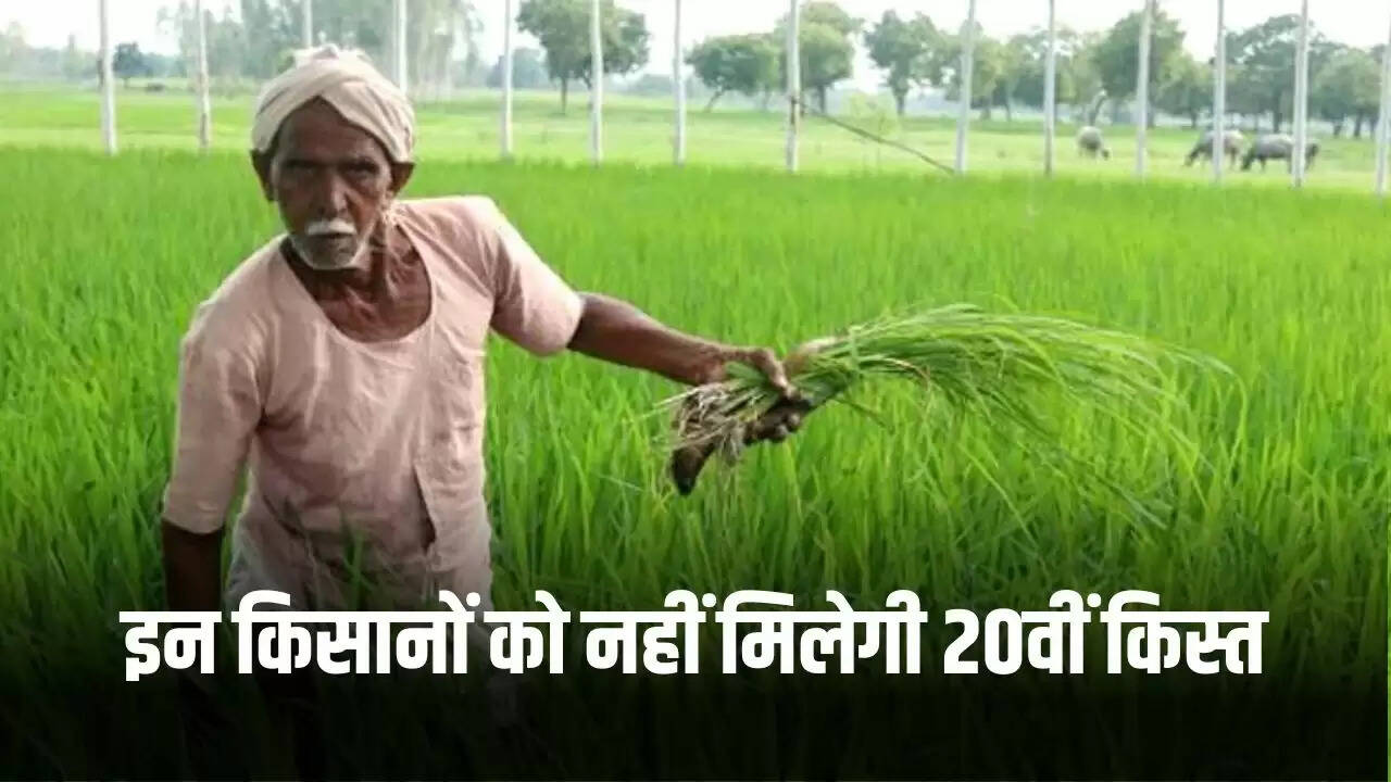 किसानों के लिए पीएम किसान योजना: 20वीं किस्त की जानकारी