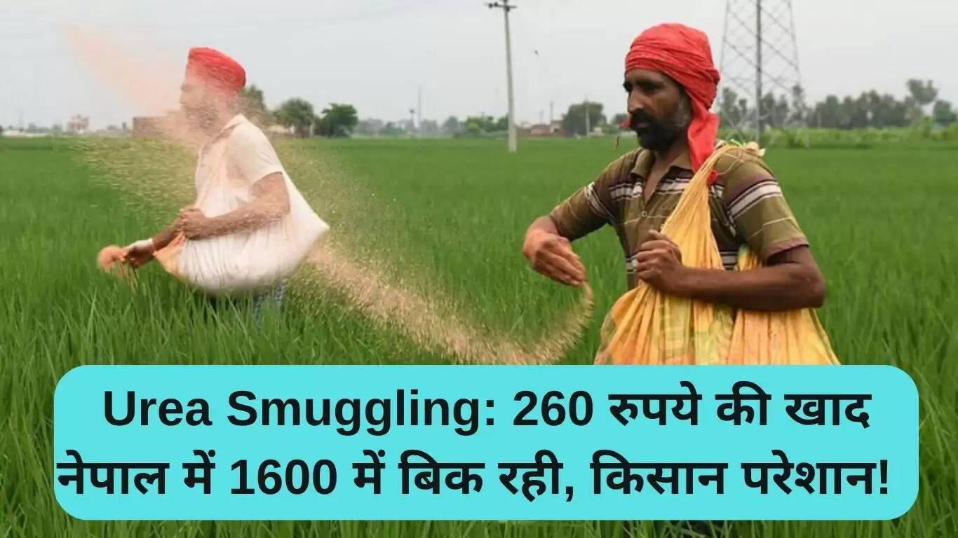 नेपाल में यूरिया तस्करी: भारतीय किसानों की चिंता बढ़ी