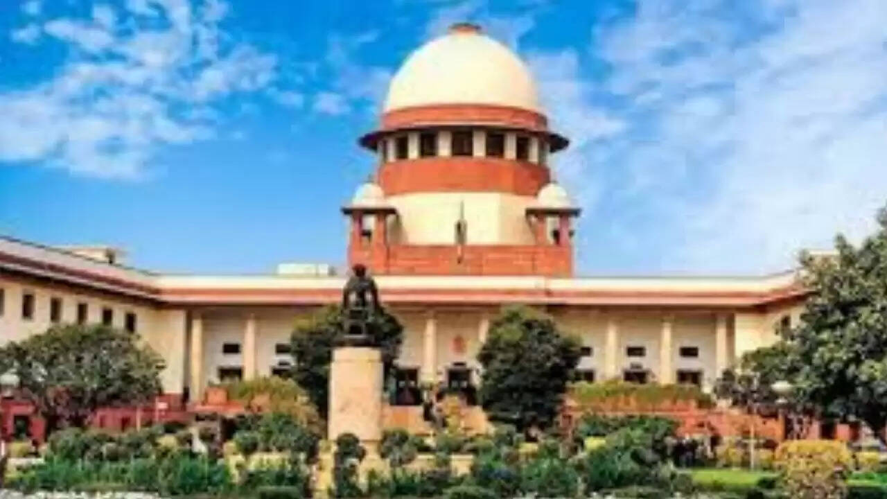 सुप्रीम कोर्ट ने आवारा कुत्तों के हमलों पर सरकारों को लगाई फटकार