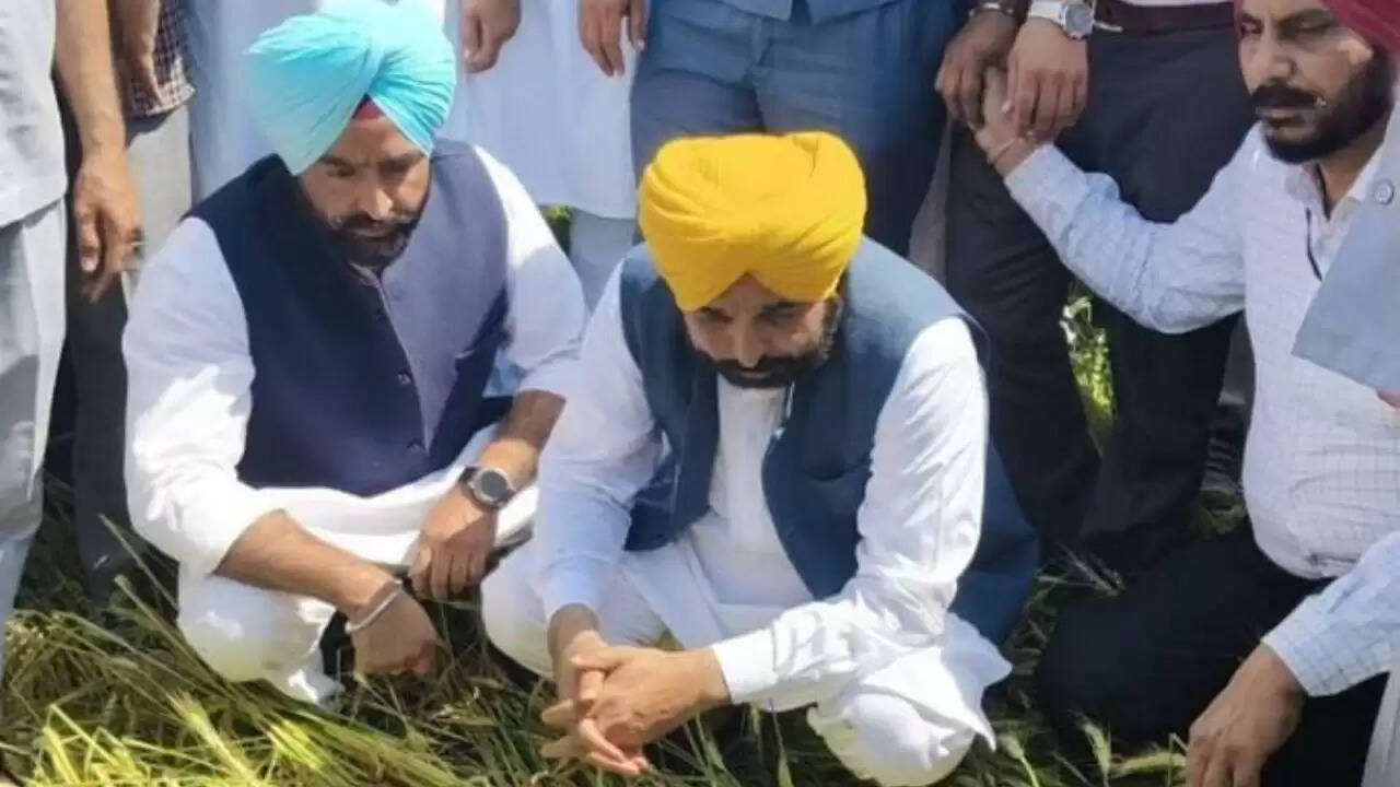 पंजाब सरकार की पहल: किसानों को राहत देने के लिए विशेष गिरदावरी सर्वे