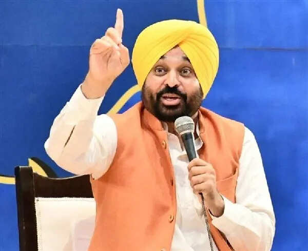 पंजाब में बाढ़ से तबाही: सभी 23 जिले आपदाग्रस्त घोषित
