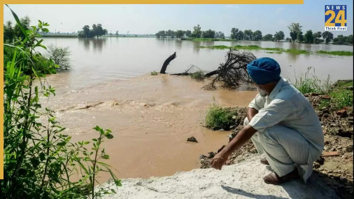 पंजाब में बाढ़ से प्रभावित किसानों के लिए सरकार ने मुआवजे की घोषणा की