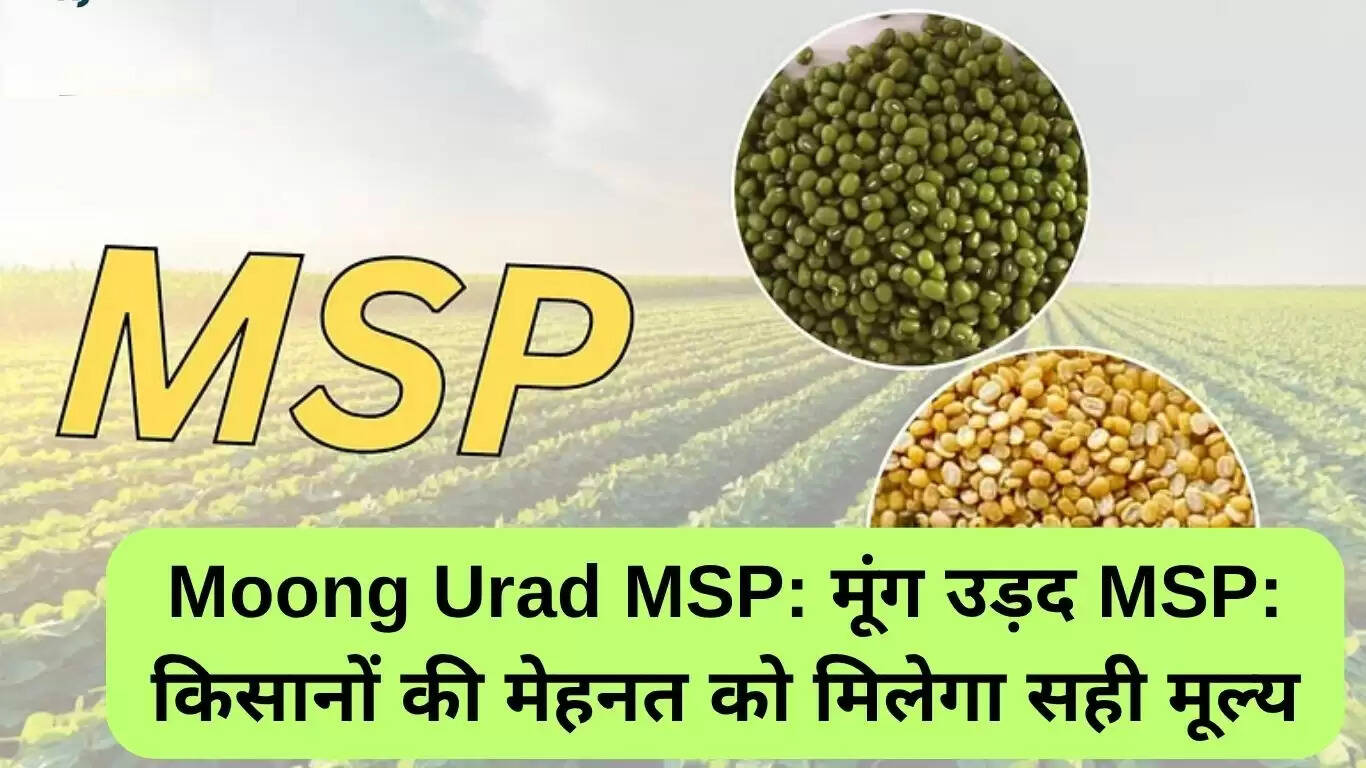 मध्य प्रदेश में ग्रीष्मकालीन मूंग उड़द के लिए MSP की घोषणा