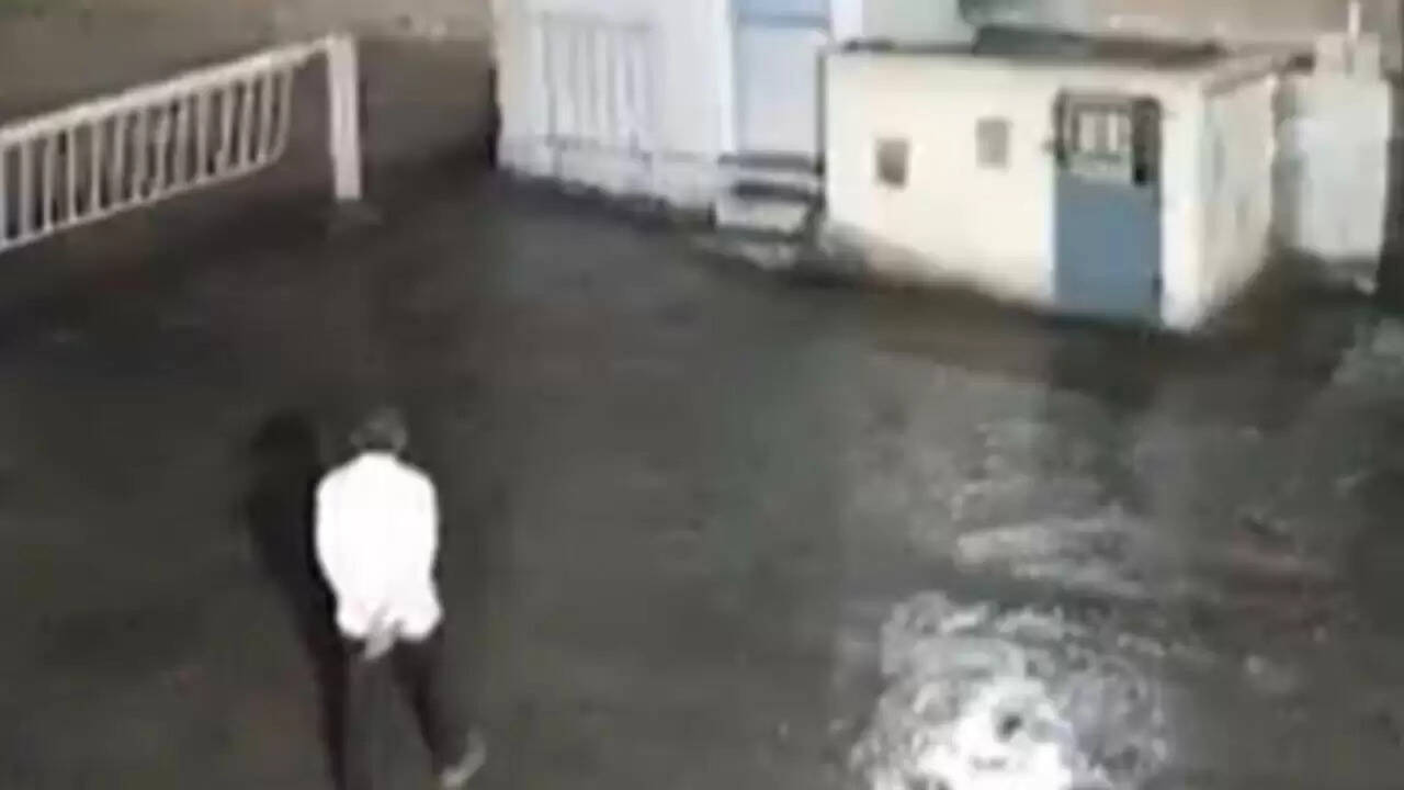 गुजरात में शेर और इंसान का अनोखा सामना: वायरल वीडियो ने मचाई हलचल