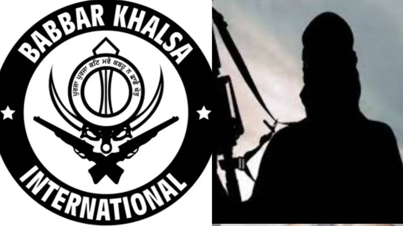 पंजाब पुलिस की बड़ी कार्रवाई: बब्बर खालसा इंटरनेशनल के तीन आतंकियों की गिरफ्तारी