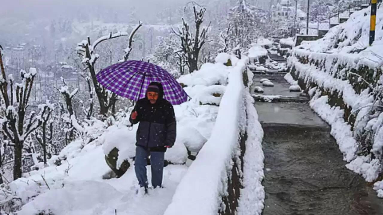 उत्तर भारत में ठंड का कहर: IMD ने जारी किया शीतलहर का अलर्ट