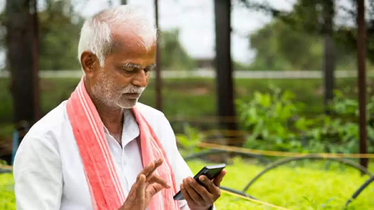 हरियाणा में बागवानी बीमा योजना: आवेदन की अंतिम तिथि बढ़ी