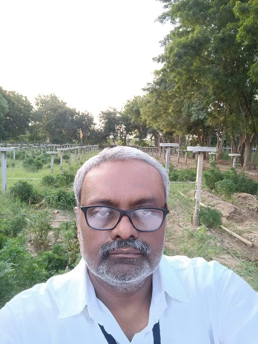 बुंदेलखंड की जमीं पर पहली बार अंजीर के लहलहाए पेड़