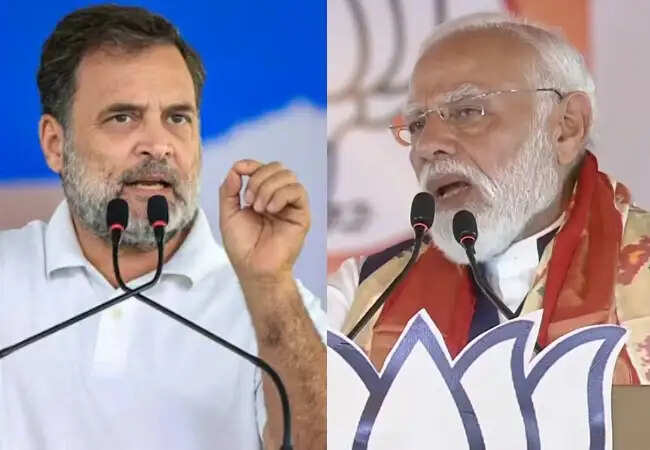 राहुल गांधी ने पीएम मोदी की अपील पर किया पलटवार