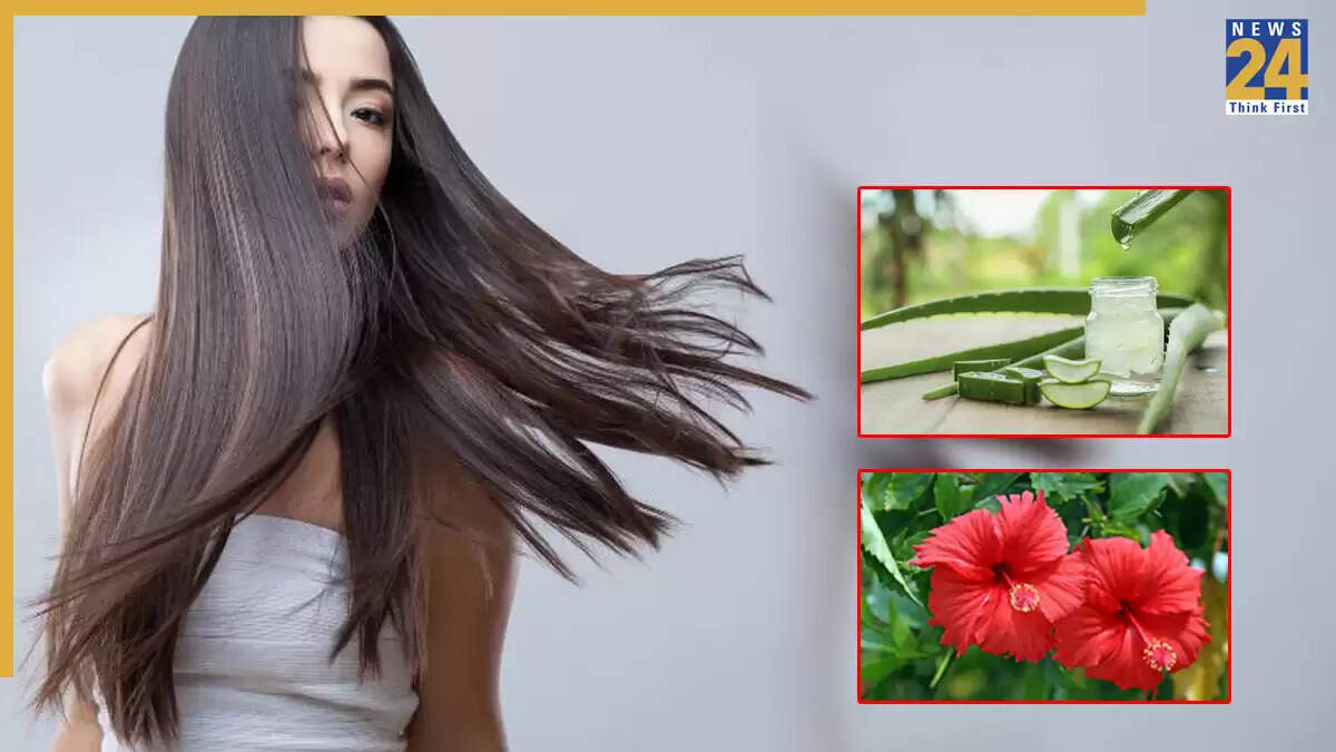 बालों की देखभाल के लिए अद्भुत पेस्ट: जानें कैसे बनाएं और इसके लाभ