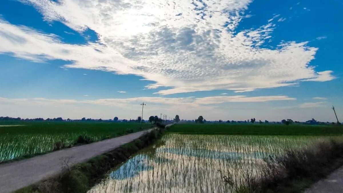 भारत में मौसम का हाल: सर्दी और बारिश का संगम