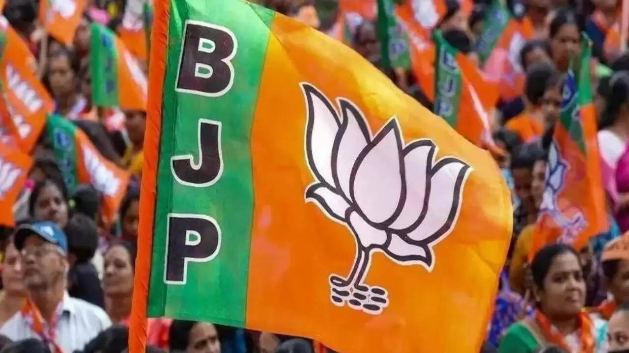 बिहार विधानसभा चुनाव 2025: बीजेपी का नया कदम पसमांदा मुसलमानों की ओर