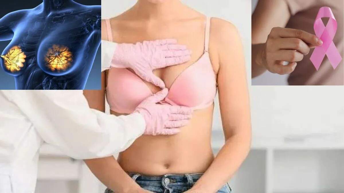ओलिव ऑयल: महिलाओं के स्वास्थ्य के लिए ब्रेस्ट कैंसर से सुरक्षा का नया साधन