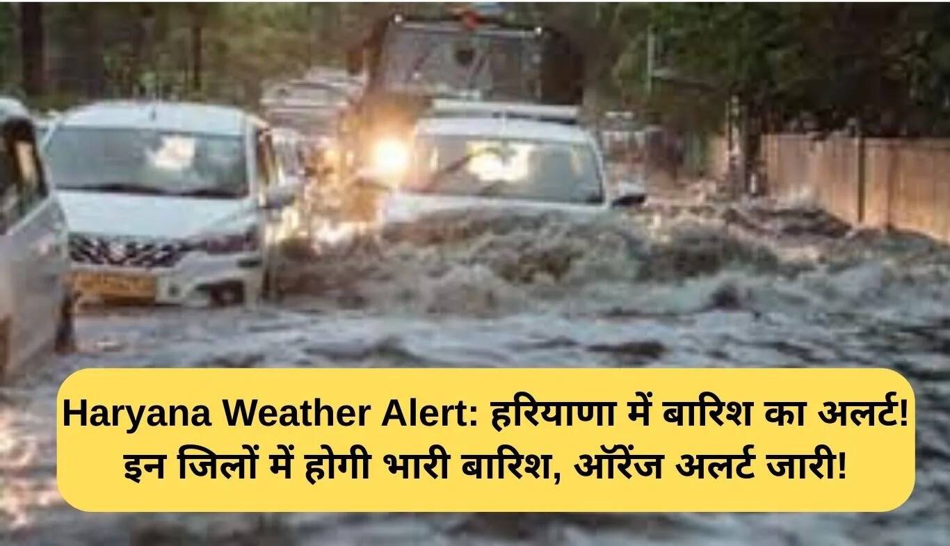 हरियाणा में बारिश का अलर्ट: इन जिलों में होगी भारी वर्षा